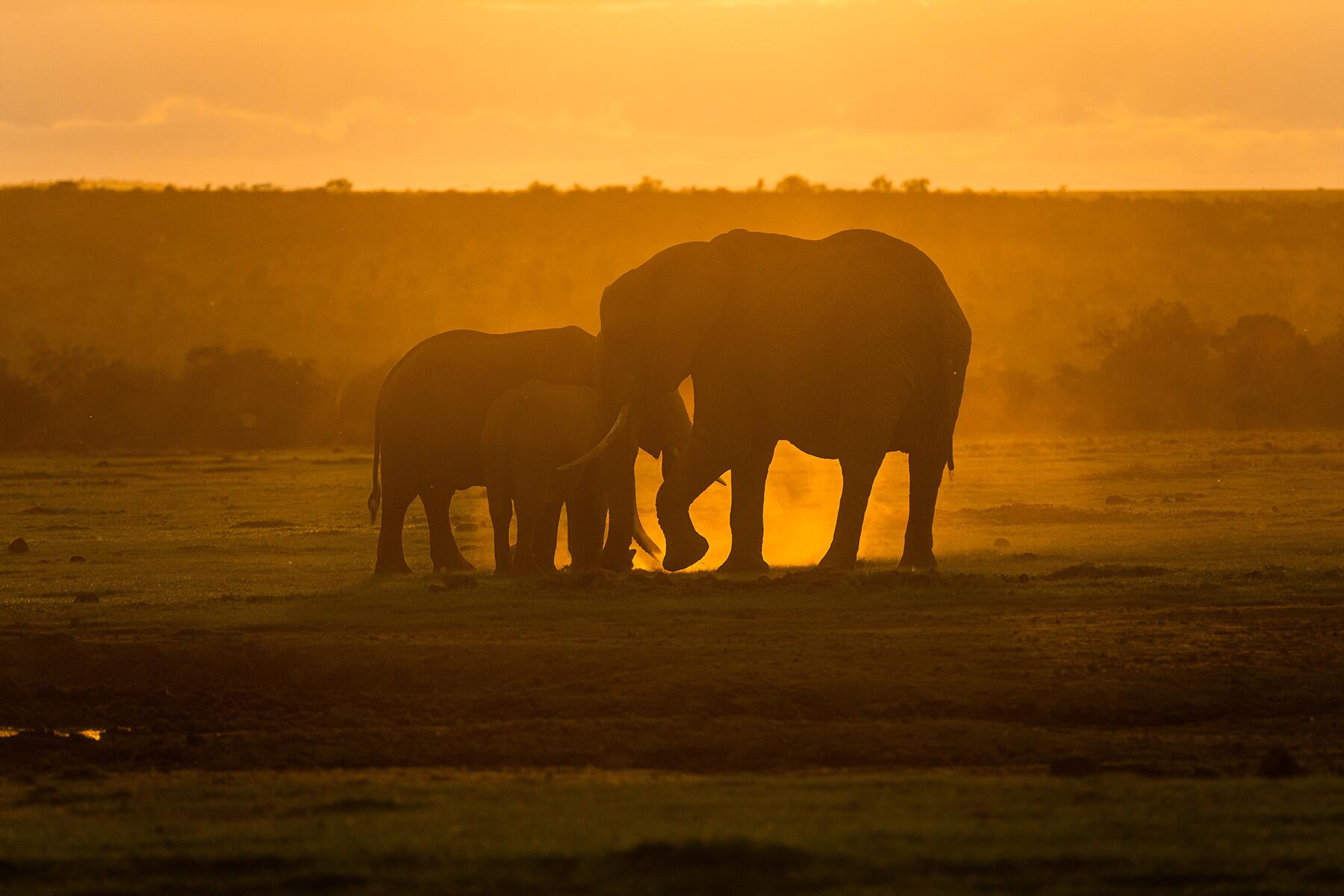 <a href='https://www.fodors.com/go-list/2026/africa-middle-east#ol-pejeta-conservancy'>Fodor’s Go List 2026: Ol Pejeta Conservancy, Kenya</a>