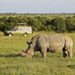 <a href='https://www.fodors.com/go-list/2026/africa-middle-east#ol-pejeta-conservancy'>Fodor’s Go List 2026: Ol Pejeta Conservancy, Kenya</a>