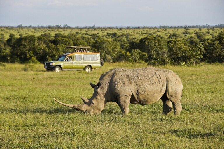<a href='https://www.fodors.com/go-list/2026/africa-middle-east#ol-pejeta-conservancy'>Fodor’s Go List 2026: Ol Pejeta Conservancy, Kenya</a>
