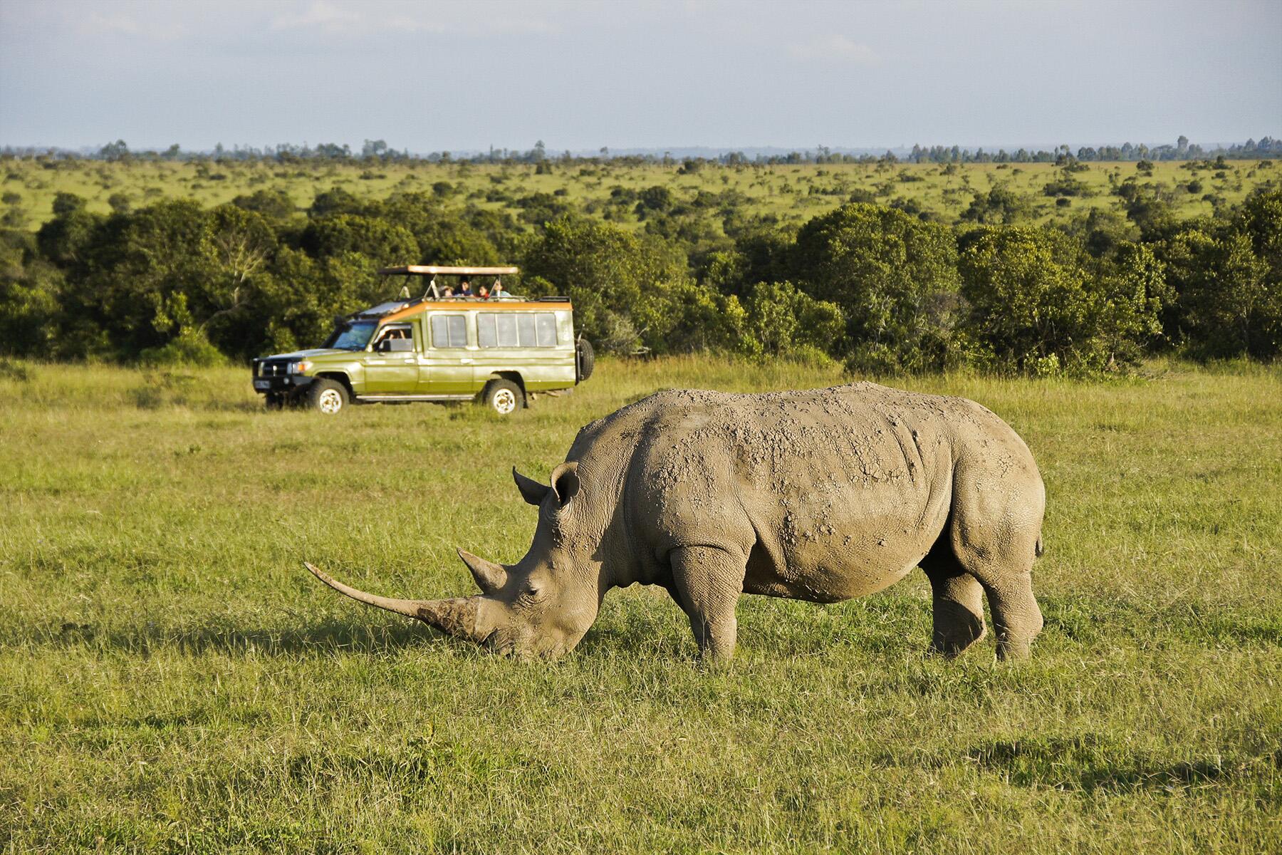 <a href='https://www.fodors.com/go-list/2026/africa-middle-east#ol-pejeta-conservancy'>Fodor’s Go List 2026: Ol Pejeta Conservancy, Kenya</a>