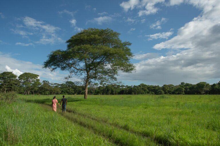 <a href='https://www.fodors.com/go-list/2026/africa-middle-east#the-zambian-riviera'>Fodor’s Go List 2026: The Zambian Riviera, Zambia</a>