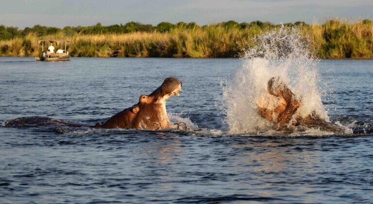 <a href='https://www.fodors.com/go-list/2026/africa-middle-east#the-zambian-riviera'>Fodor’s Go List 2026: The Zambian Riviera, Zambia</a>
