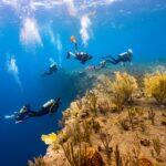 <a href='https://www.fodors.com/go-list/2026/mexico-central-america#saba'>Fodor’s Go List 2026: Saba, Dutch Caribbean</a>