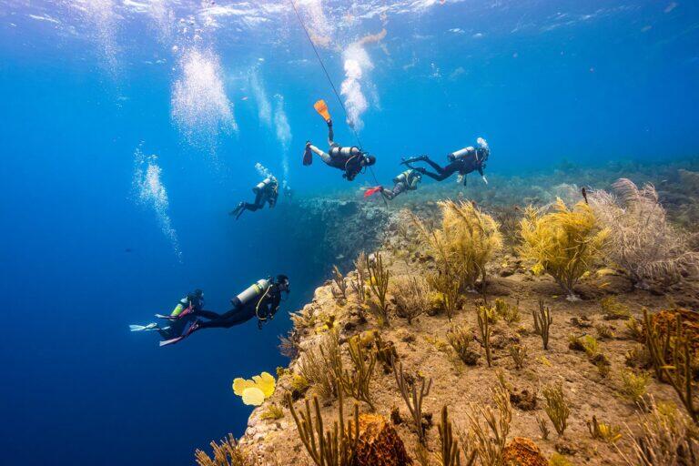 <a href='https://www.fodors.com/go-list/2026/mexico-central-america#saba'>Fodor’s Go List 2026: Saba, Dutch Caribbean</a>