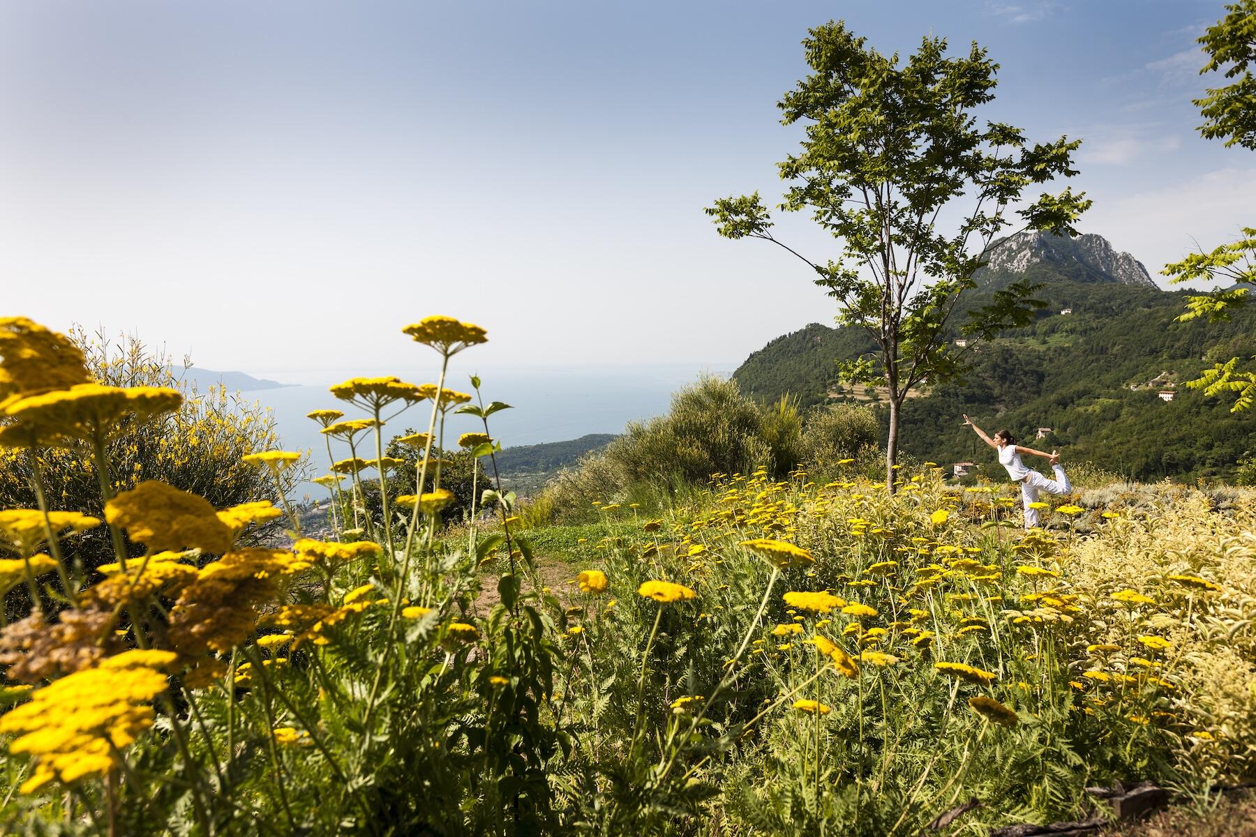 <a href='https://www.fodors.com/world/europe/italy/experiences/news/photos/lake-garda-vs-lake-como-which-is-better-to-visit#'>From "How to Choose Between Italy’s Two Most Gorgeous Lakes: If You’re Looking for a Wellness Escape"</a>
