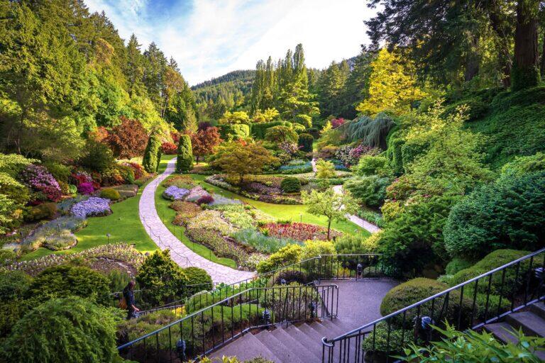 <a href='https://www.fodors.com/world/north-america/canada/experiences/news/photos/where-are-canadians-traveling-instead-of-the-us#'>From "Canadians Are Boycotting the U.S. So Where Are They Traveling Instead?: Vancouver Island"</a>