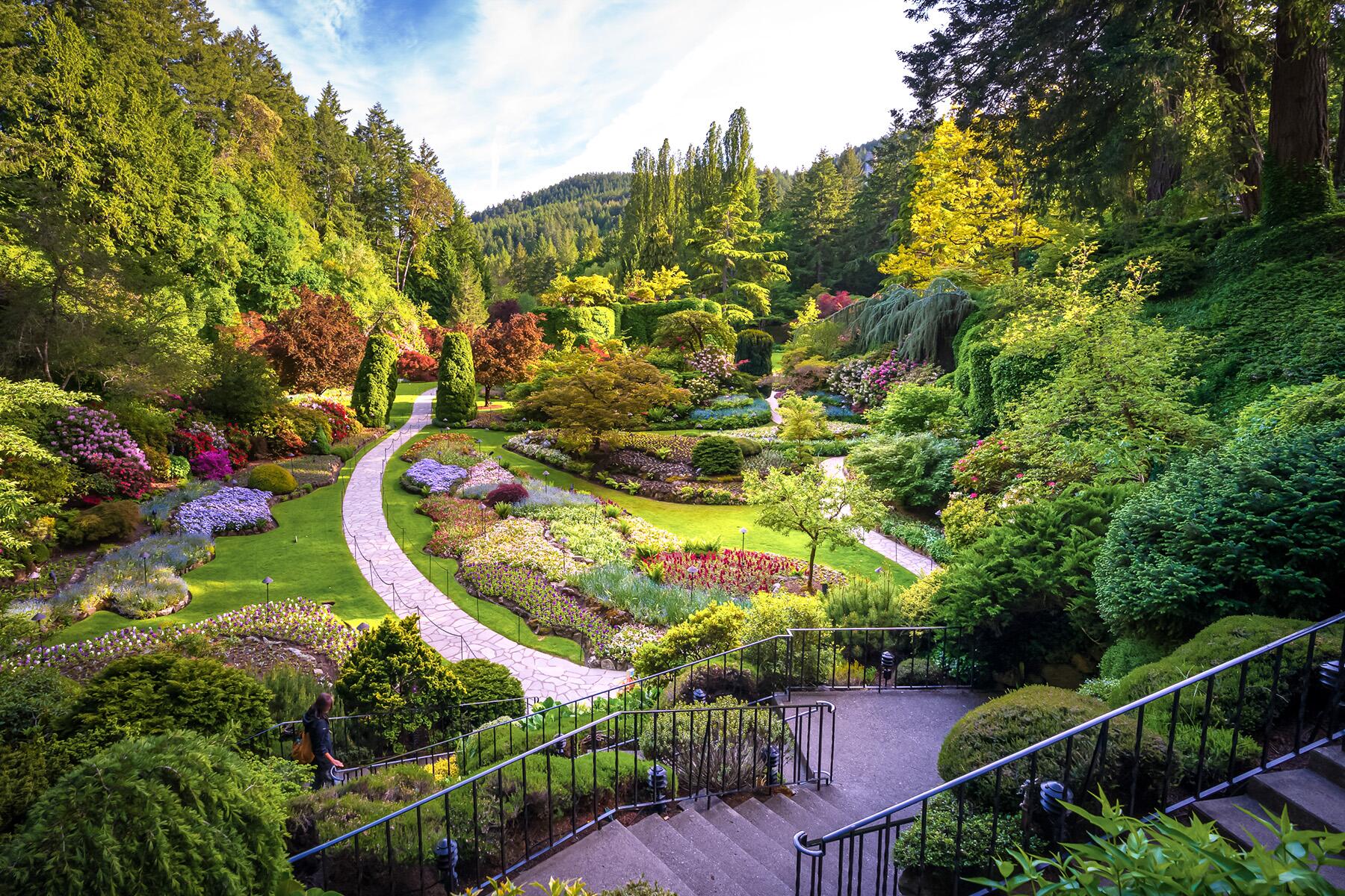 <a href='https://www.fodors.com/world/north-america/canada/experiences/news/photos/where-are-canadians-traveling-instead-of-the-us#'>From "Canadians Are Boycotting the U.S. So Where Are They Traveling Instead?: Vancouver Island"</a>
