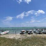 <a href='https://www.fodors.com/world/mexico-and-central-america/mexico/the-riviera-maya/places/tulum/experiences/news/photos/dont-be-the-tuluminati-and-discover-the-best-of-tulum-beyond-the-beach#'>From "Don’t Be the Tuluminati: Sian Ka’an Biosphere Reserve"</a>