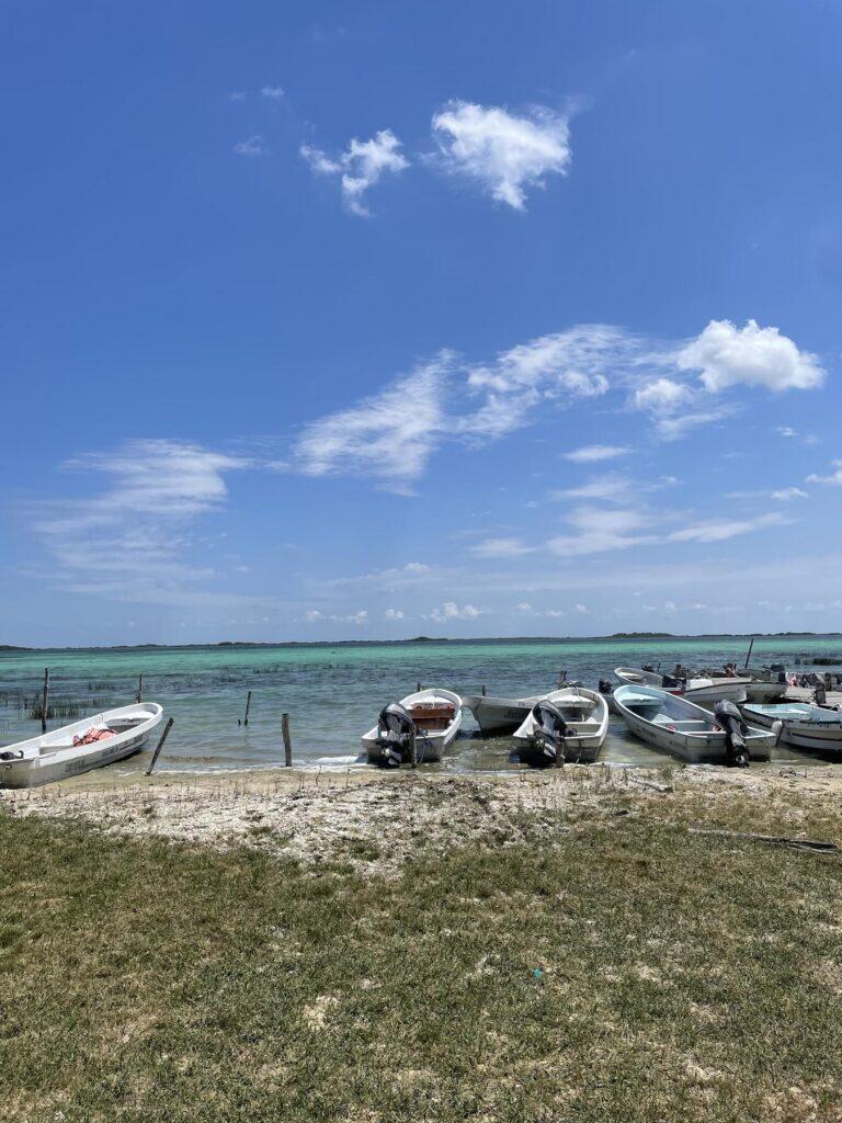 <a href='https://www.fodors.com/world/mexico-and-central-america/mexico/the-riviera-maya/places/tulum/experiences/news/photos/dont-be-the-tuluminati-and-discover-the-best-of-tulum-beyond-the-beach#'>From "Don’t Be the Tuluminati: Sian Ka’an Biosphere Reserve"</a>