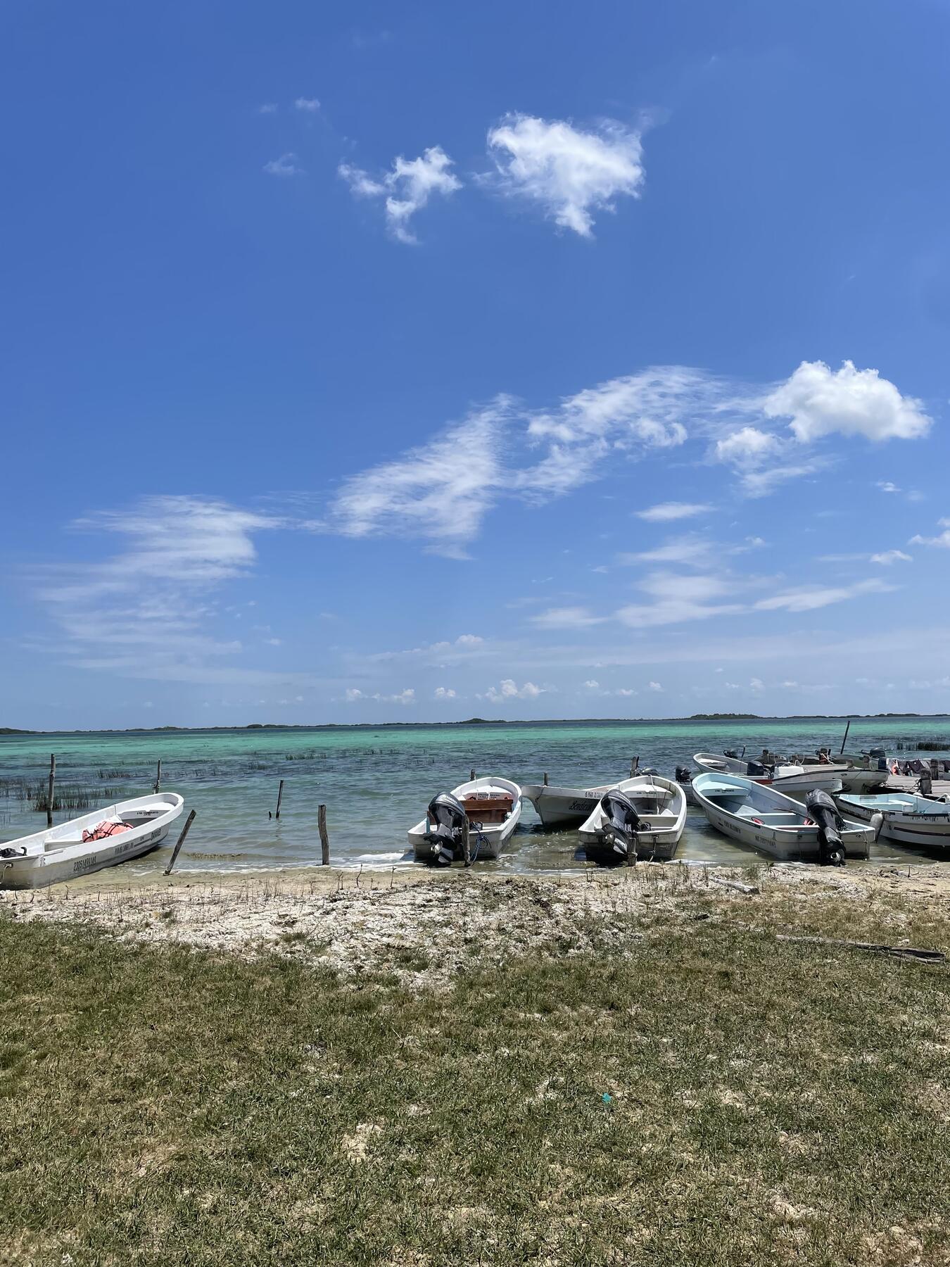 <a href='https://www.fodors.com/world/mexico-and-central-america/mexico/the-riviera-maya/places/tulum/experiences/news/photos/dont-be-the-tuluminati-and-discover-the-best-of-tulum-beyond-the-beach#'>From "Don’t Be the Tuluminati: Sian Ka’an Biosphere Reserve"</a>