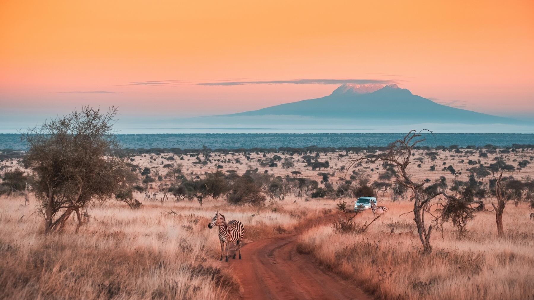 With 54 Countries to Choose From, How Do You Pick an African Destination?