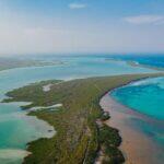 <a href='https://www.fodors.com/world/mexico-and-central-america/mexico/the-riviera-maya/places/tulum/experiences/news/photos/dont-be-the-tuluminati-and-discover-the-best-of-tulum-beyond-the-beach#'>From "Don’t Be the Tuluminati: Boat and Float the Canals"</a>