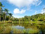 Pond on Pulau Ubn, Singapore; 